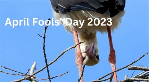 april fool s day 2023 know its history share these hilarious jokes