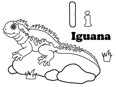 iguana  animals  printable coloring pages