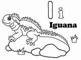 Iguana Kolorowanki Iguanas Dla Sheets Iguane Dxf sketch template