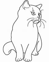 Cat Coloring Pages Fluffy Printable Getcolorings Color Print sketch template