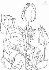 Kleurplaat Elfjes Elfen Kleurplaten Feen Tulipe Tulipes Lutin Coloriages Feeen Tulip Elfe Downloaden Malvorlage Fairies Malvorlagen Colorier Uitprinten Azausmalbilder Besuchen sketch template
