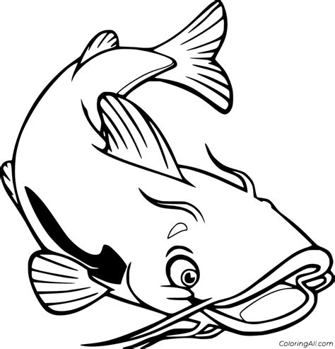 coloring pages  catfish   gambrco