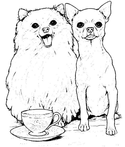 kids  funcom  coloring pages  dogs