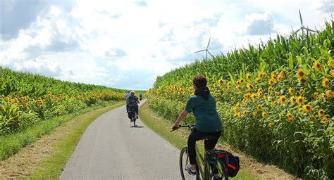 gruene auf   den westen lippstadts ortsverband lippstadt