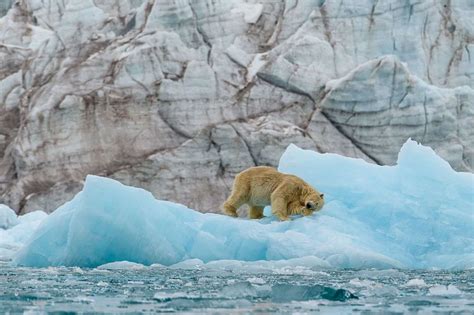 polar adventures  inspired  travel   ends   earth