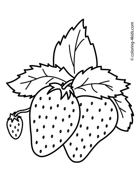 nice strawberries fruits coloring pages simple  kids printable