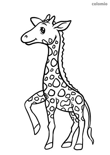 simple giraffe coloring page simple safari animal coloring pages
