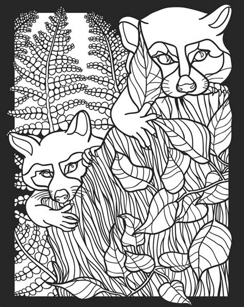 childhood education nocturnal animals coloring pages  colouring