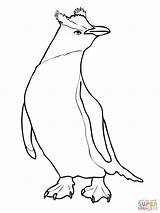 Crested Erect Penguins Supercoloring Emperor sketch template
