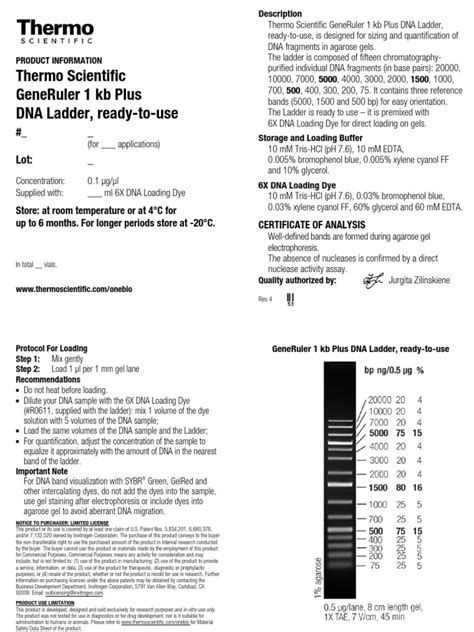 Thermo Scientific Generuler 1 Kb Plus Dna Ladder Ready To Use Pdf