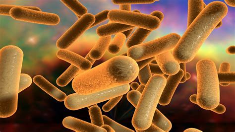 cases  recurrent clostridium difficile infection  soaring infection control today