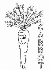 Carrot Tocolor Disimpan sketch template