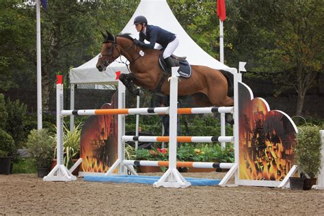silver bronze  irish sport horses  fei world breeding jumping championships  young