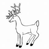 Reindeer Coloring Pages Printable Kids Cartoon Print Colouring Christmas Popular Library Clipart sketch template