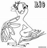 Rio Coloring Pages Jewel Cartoon sketch template