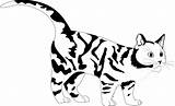 Cat Tiger Clipart Clip Vector Colouring Coloring Cats Line Cliparts Graphics Clipartbest Sheet Library Clipground sketch template