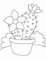 Cactus Coloring Flower Pages Search Again Bar Case Looking Don Print Use Find Large sketch template