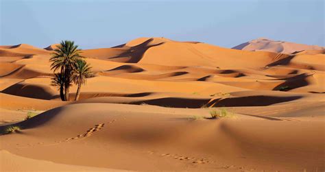 sahara desert facts   great desert  africa factsnet