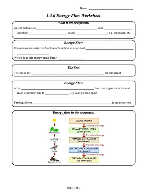 energy flow worksheet food web systems ecology   day
