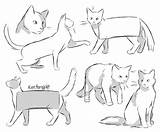 Cats Randomness Junek sketch template