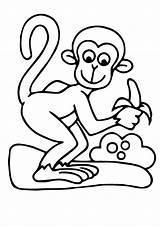 Monkey Coloring Pages Beloved Forkids Funny sketch template
