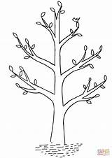 Spring Coloring Pages Tree Drawing Printable Print Crafts Paper sketch template