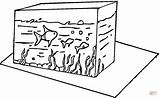 Acquario Akwarium Pesci Kolorowanki Ryby Kolorowanka Fisch Ausmalbild Fische Pesciolini Rybki Druku Wydruku Pesce sketch template