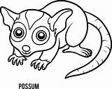 Possum Coloring Book sketch template