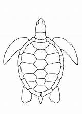 Tartaruga sketch template