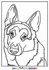 German Shepherd Coloring Pages Dog Printable Kids Baby Cute Sheet Dogs Book Template sketch template