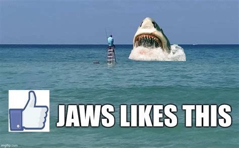 jaws likes  imgflip