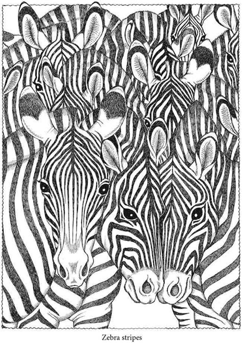 zebras dover coloring pages animal coloring pages printable coloring