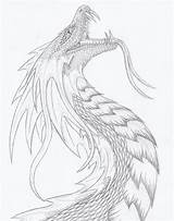 Realistic Drawing Dragons Dragon Coloring Pages Head Getdrawings sketch template