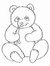 Panda Coloring Pages Choose Board Colouring sketch template
