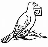 Pigeon Pomba Desenho Molde Curso Participar Quer Recomendamos Aqui Bestcoloringpagesforkids sketch template