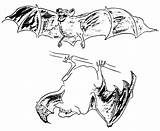 Fox Flying Coloring Pages Color Winged Animals Animal Print Back Template sketch template