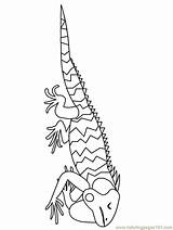 Iguana Mexiko ähnliche sketch template