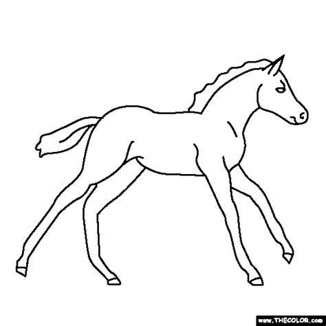 baby horse coloring page pony coloring horse coloring pages horse