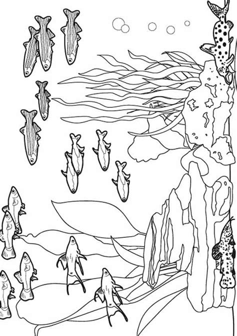 cute water animals coloring page ocean coloring pages