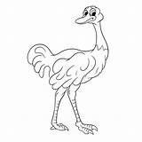 Ostrich Coloring Vecteezy sketch template