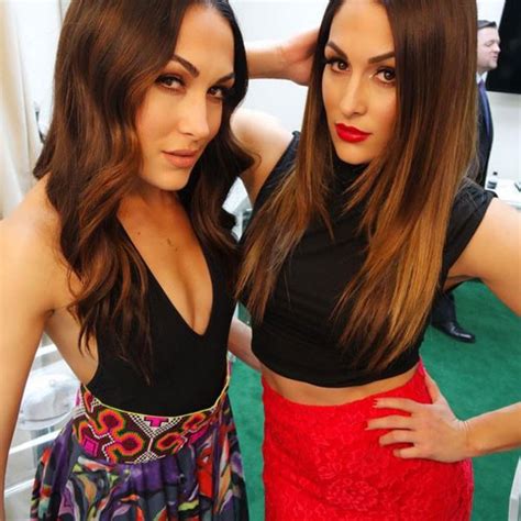 hot stuff from the bella twins sexiest pics
