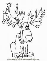 Reindeer Coloring Pages Christmas Santa Deer Printable Comments Ready Choose Board Coloringhome sketch template