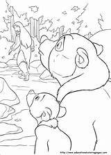 Bear Brother Coloring Pages Book sketch template