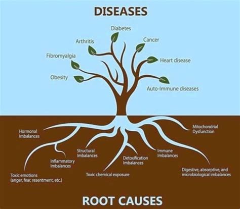 functional health therapy  managing  root    illness