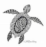 Zentangle Turtle Colouring Print Colorear Coloringpagesfortoddlers Tortugas Doodles sketch template