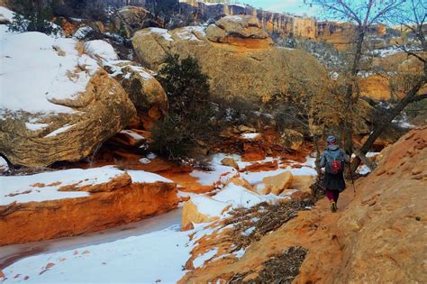 rambling hemlock winter hiking  cedar mesa utah