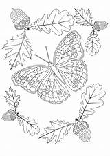 Coloring Butterfly Autumn Butterflies Pages Kids Garden Book Adult Emma Williams Print Color Insects sketch template