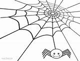 Spinnennetz Ausmalbilder Malvorlagen sketch template