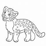 Jaguar Colorare Giaguaro Smiles Piccoli Childrencoloring sketch template