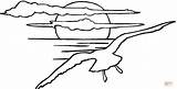 Coloring Sunset Pages Seagull Drawing sketch template